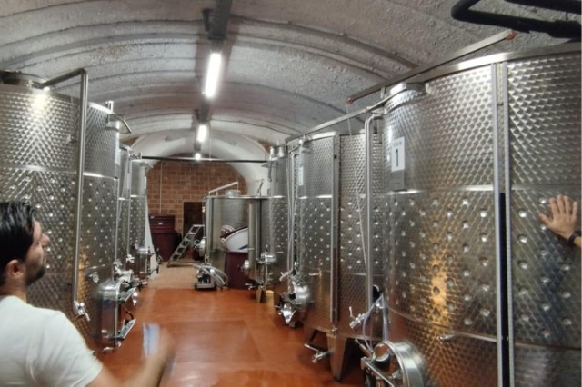 Wine Processing